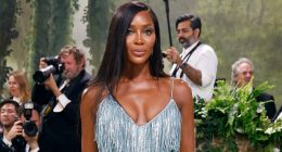 Met Gala mass exodus: String of stars cancel on fashion's big night