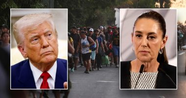 Mexican president declines Trump's offer of US troops to help fight drug cartels
