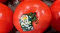 Mexican tomatoes may face 21% tax starting in July