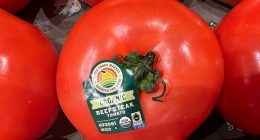 Mexican tomatoes may face 21% tax starting in July