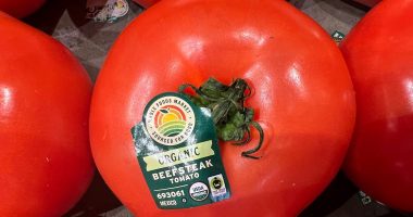 Mexican tomatoes may face 21% tax starting in July