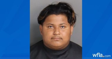 Missing Plant City girl found in South Carolina with man who took her to be 'living partners'