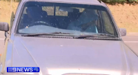 The flatmate of Pheobe Bishop has been since for the first time since the teenager vanished, almost two weeks ago.
