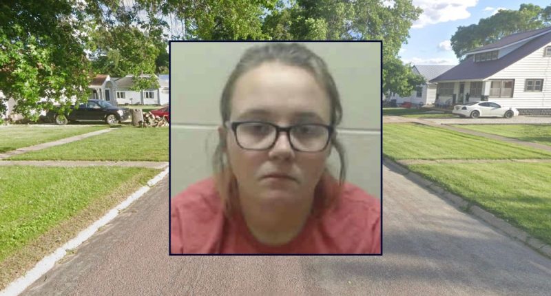 Mom gets max sentence after lying about toddler's car death