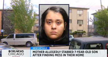 Mom stabbed 7-year-old son because he made a mess: Cops