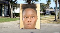 Mom 'tried to run over' young kids fleeing fight: Police