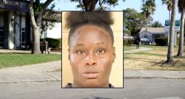 Mom 'tried to run over' young kids fleeing fight: Police