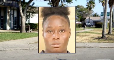 Mom 'tried to run over' young kids fleeing fight: Police