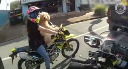 Woman riding motorcycle with dog.