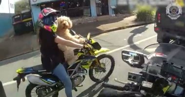 Woman riding motorcycle with dog.