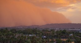 Monday Morning Minute: Let the Dust Settle