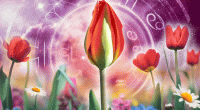 Monthly horoscopes for every zodiac sign