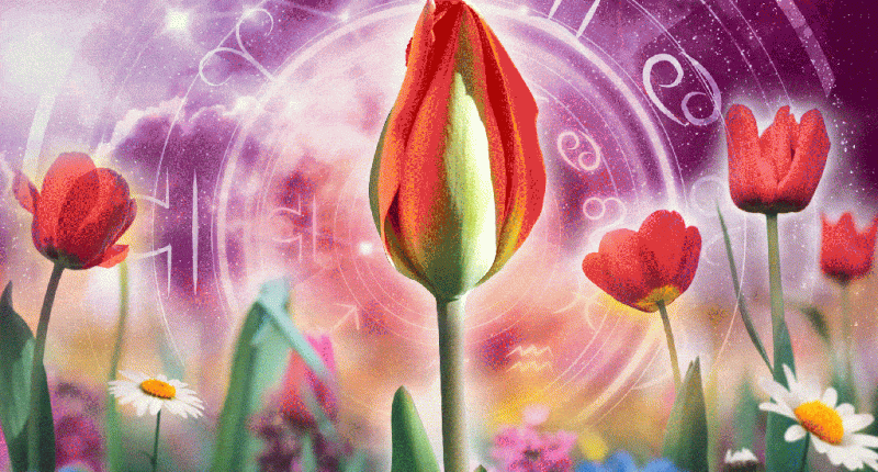 Monthly horoscopes for every zodiac sign