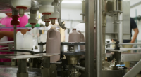 More than just milk at Southern Swiss Dairy