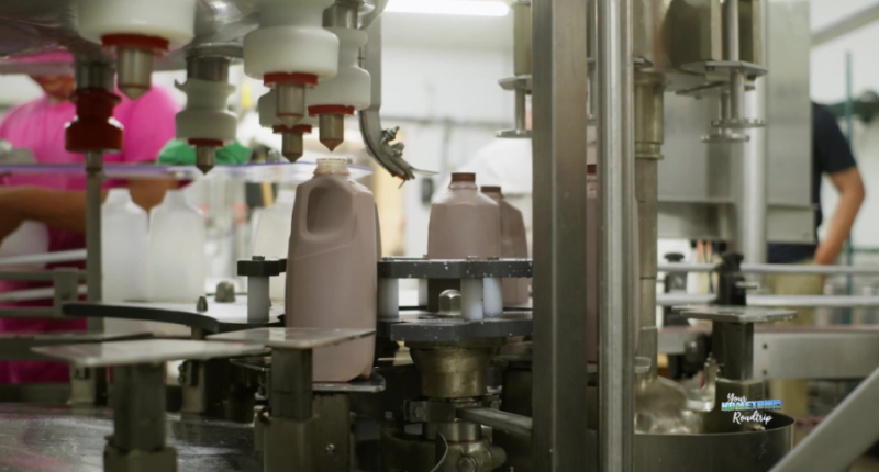 More than just milk at Southern Swiss Dairy