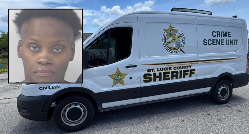 Mother killed son to 'exercise demons' out of him: Sheriff