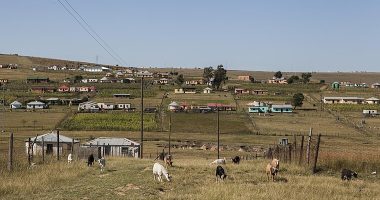 Village in Cacadu, Eastern Province, with goats grazing in the foreground.