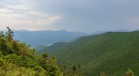 Mushroom-tripping hikers mistakenly report a companion's death, officials say