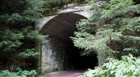 Entrance to a dark tunnel overgrown with vegetation.