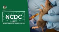 NCDC records 832 Lassa fever, Mpox cases, 135 deaths