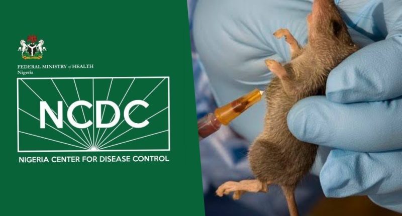 NCDC records 832 Lassa fever, Mpox cases, 135 deaths