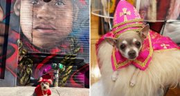 NYC dogs are recreating celebs' Met Gala looks at this year's Pet Gala