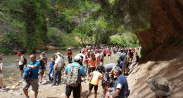 National parks preparing for busy Memorial Day weekend: What to expect
