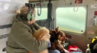 Nearly 50,000 people isolated in NSW flood disaster