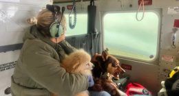 Nearly 50,000 people isolated in NSW flood disaster