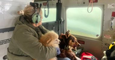 Nearly 50,000 people isolated in NSW flood disaster