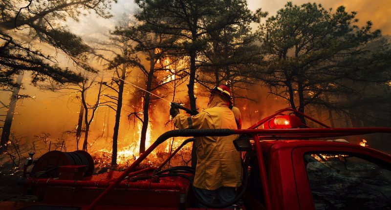 New Jersey teens' ridiculous excuse for devstating starting wildfire