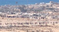 New US-backed aid group begins distributing food in war-torn Gaza