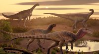 Illustration of four dinosaurs in a prehistoric landscape.