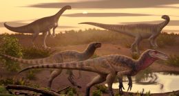 Illustration of four dinosaurs in a prehistoric landscape.