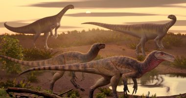 Illustration of four dinosaurs in a prehistoric landscape.