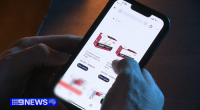 No fines issued in six months of country's 'toughest' anti-nangs laws