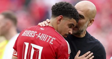 Nottingham Forest Q&A: YOUR questions answered - Who will they sign this summer? Is PSR still an issue? Will Morgan Gibbs-White, Nuno Espirito Santo and Murillo stay? And what's happening with the stadium?