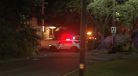 Police car at night at a mass shooting scene.