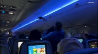Pigeons boards Delta flight 2348 from Minneapolis-Saint Paul International Airport to Madison, Wisconsin, video shows