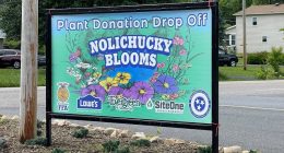 Plant drive to benefit Hurricane Helene victims