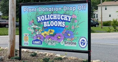 Plant drive to benefit Hurricane Helene victims