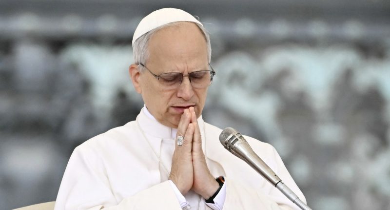 Pope Leo XIV calls for aid to reach Gaza in his first general audience
