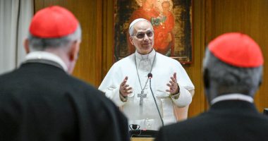Pope Leo XIV says advancement of AI played a factor in his papal name selection