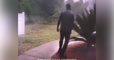 Port Royal PD arrest man in connection to 3 cases
