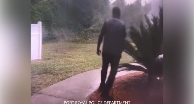 Port Royal PD arrest man in connection to 3 cases