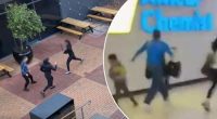 Northland shopping centre alleged gang stabbing