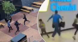 Northland shopping centre alleged gang stabbing