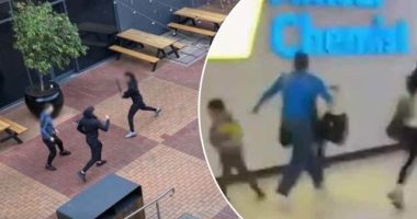 Northland shopping centre alleged gang stabbing