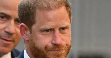 Prince Harry LOSES battle to have taxpayer-funded protection in UK