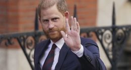 Prince Harry loses appeal to restore government-funded security detail